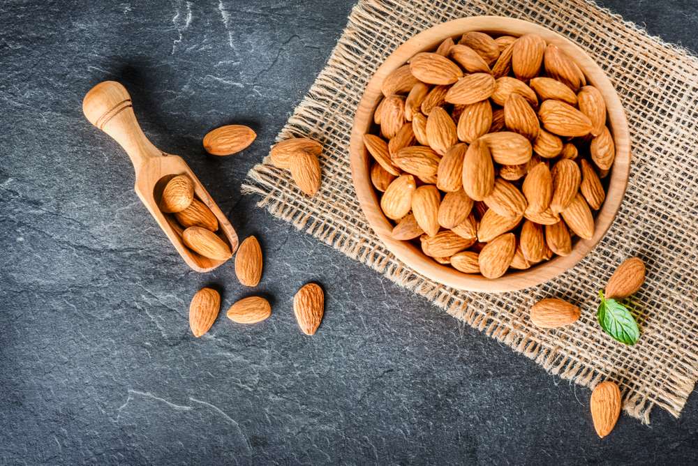 ilustrasi kacang almond
