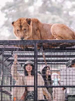Taman Safari