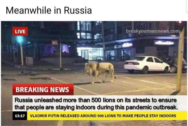 Singa di jalanan yang konon terjadi di Rusia