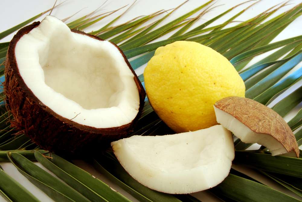 ilustrasi kelapa & lemon