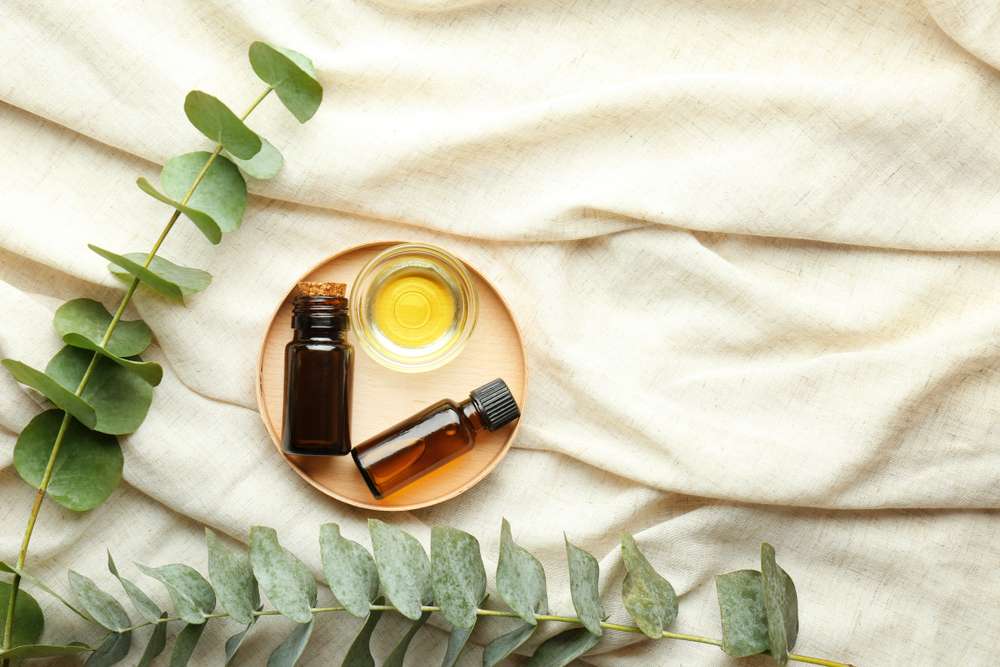 Eucalyptus