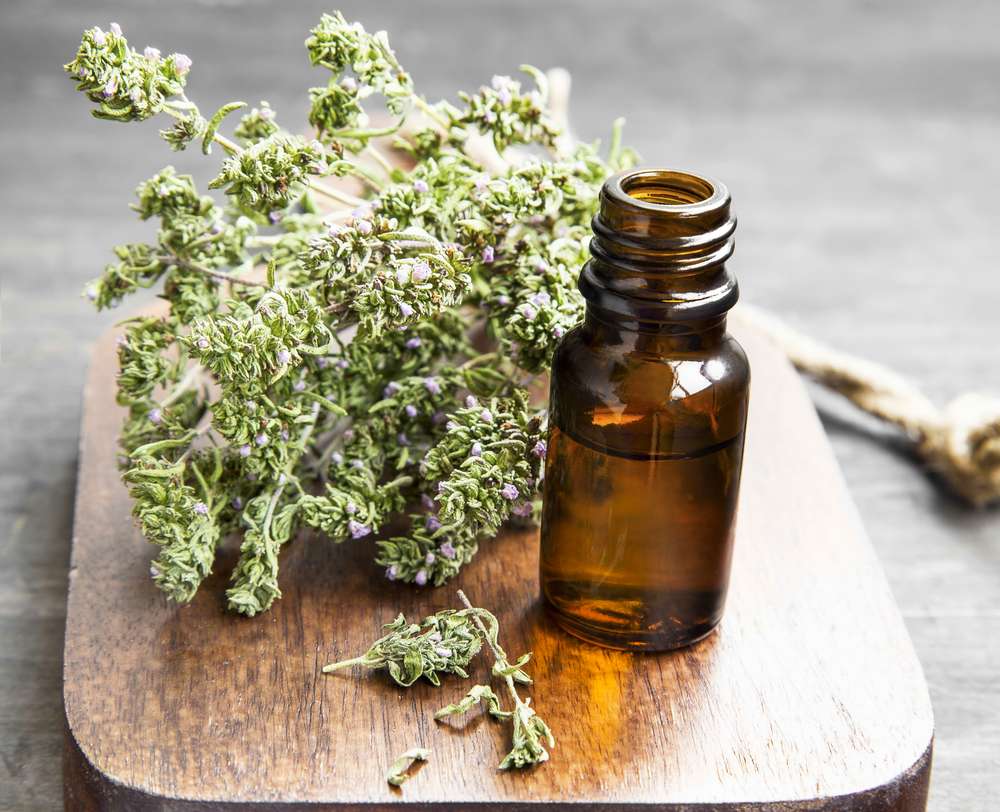 Thyme