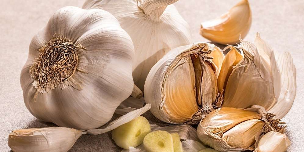 Bawang Putih