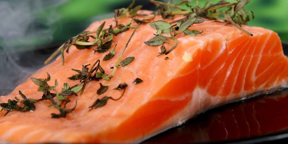 Salmon