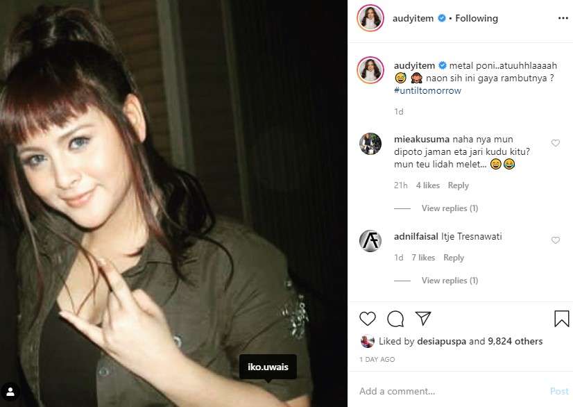 Audy Item
