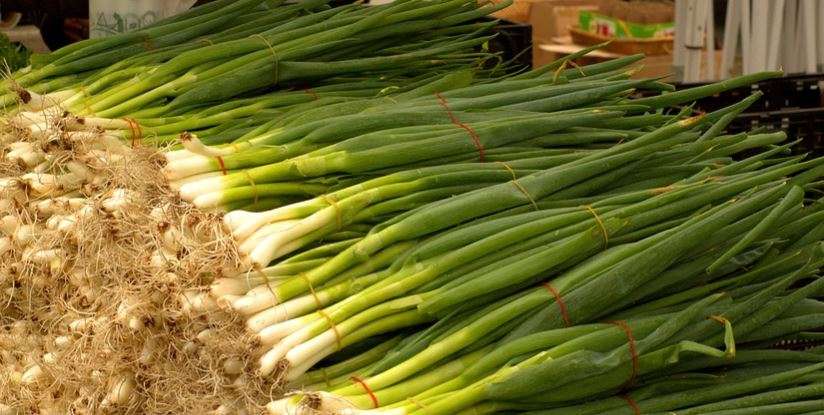 Daun bawang
