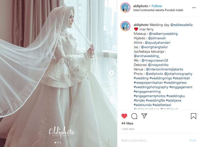Eddies Adelia