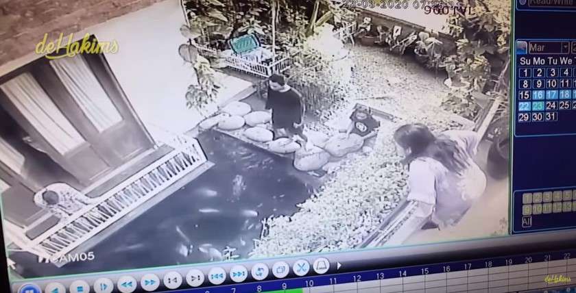 cctv ikan Irfan hakim