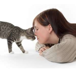 kucing dan manusia