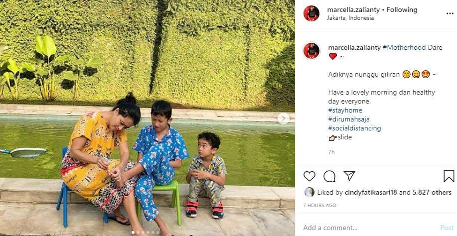 Marcella zalianty Marcella zalianty