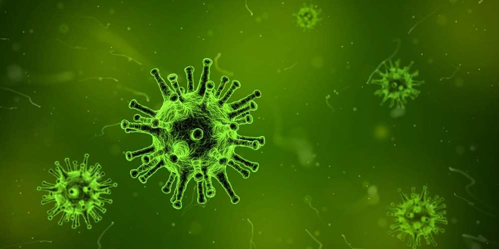 Virus Corona