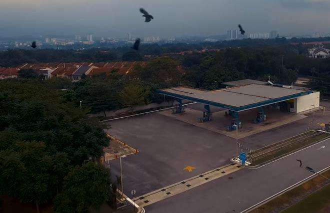 Sekawanan burung gagak tiba-tiba muncul.di atas SPBU.