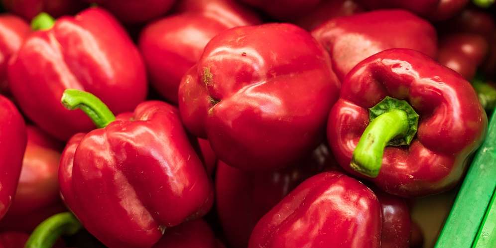 Paprika Paprika