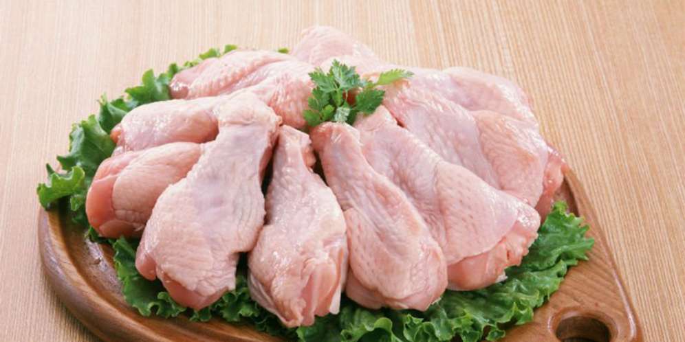 Ilustrasi ayam