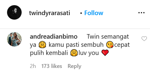 twindy