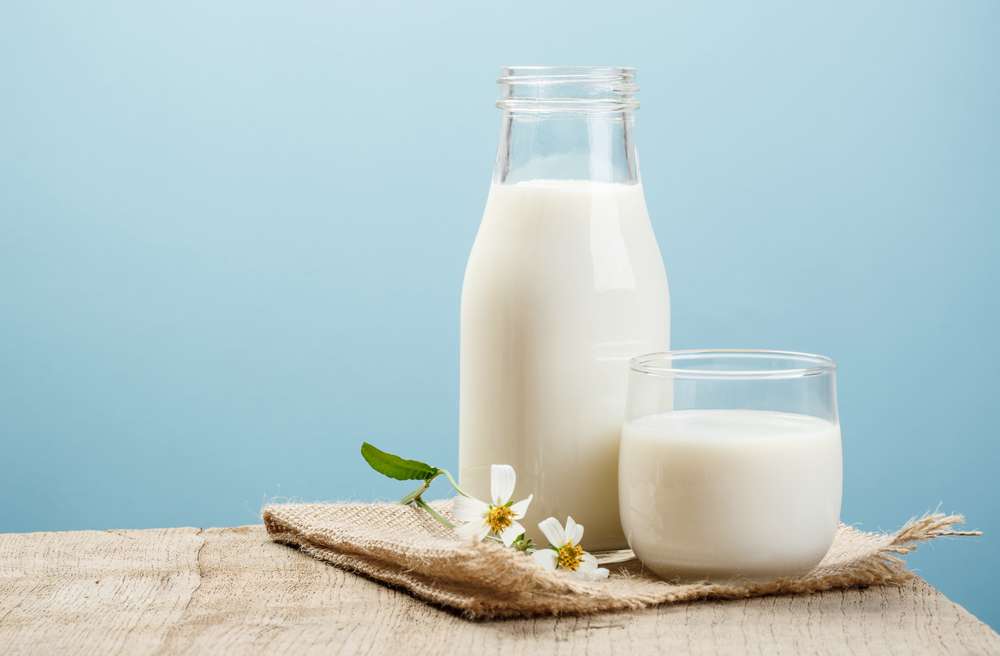 ilustrasi susu