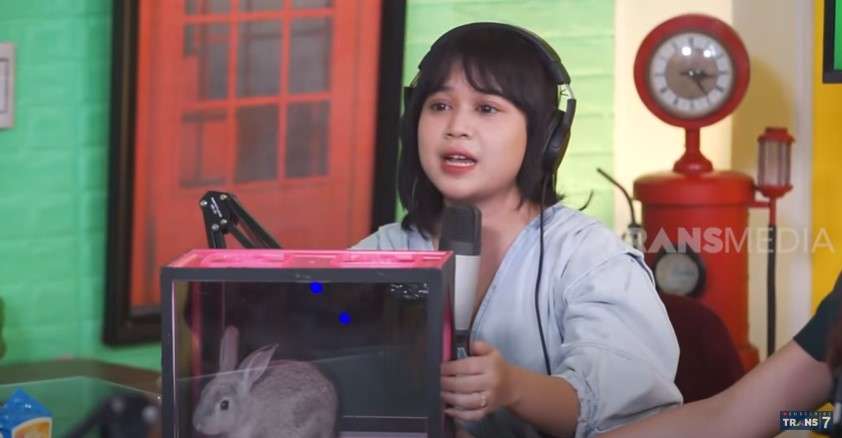 isi kotak kelinci