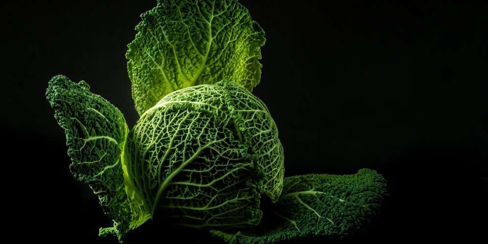 Sayur Hijau