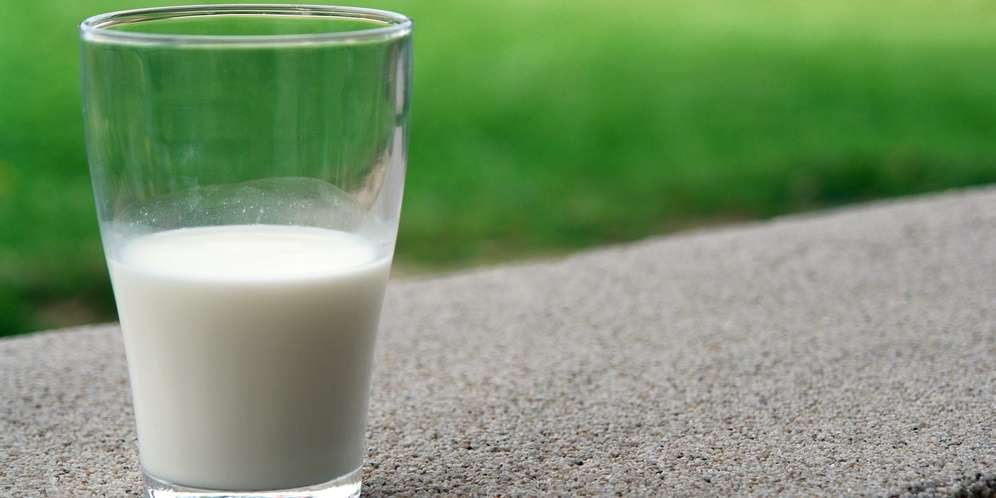 Minum Susu