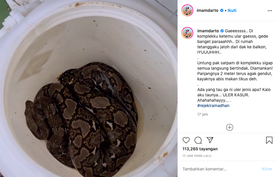 Imam Darto Temukan Ular