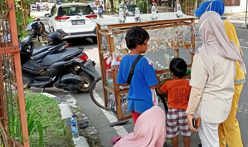 Kakak beradik berjualan ikan mas demi bantu keluarga