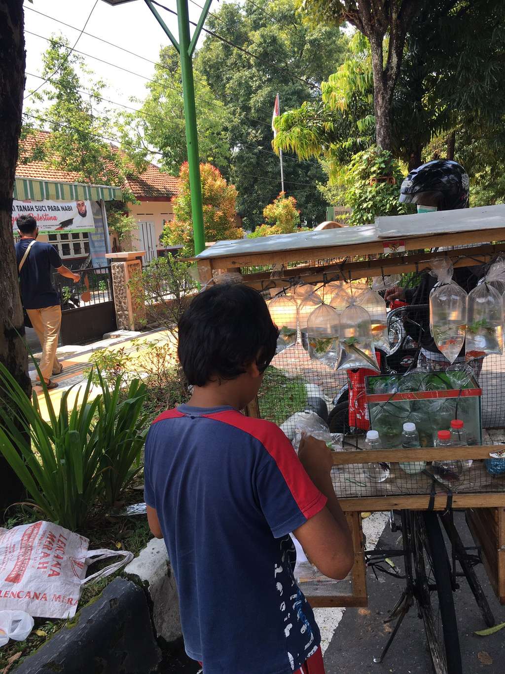 Kakak beradik berjualan ikan mas demi bantu keluarga