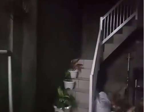 rumah lebby keponakan dewi perssik