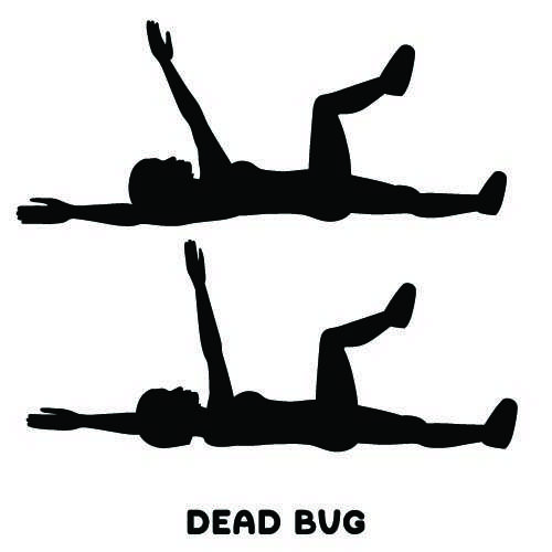 Deadbug Pose