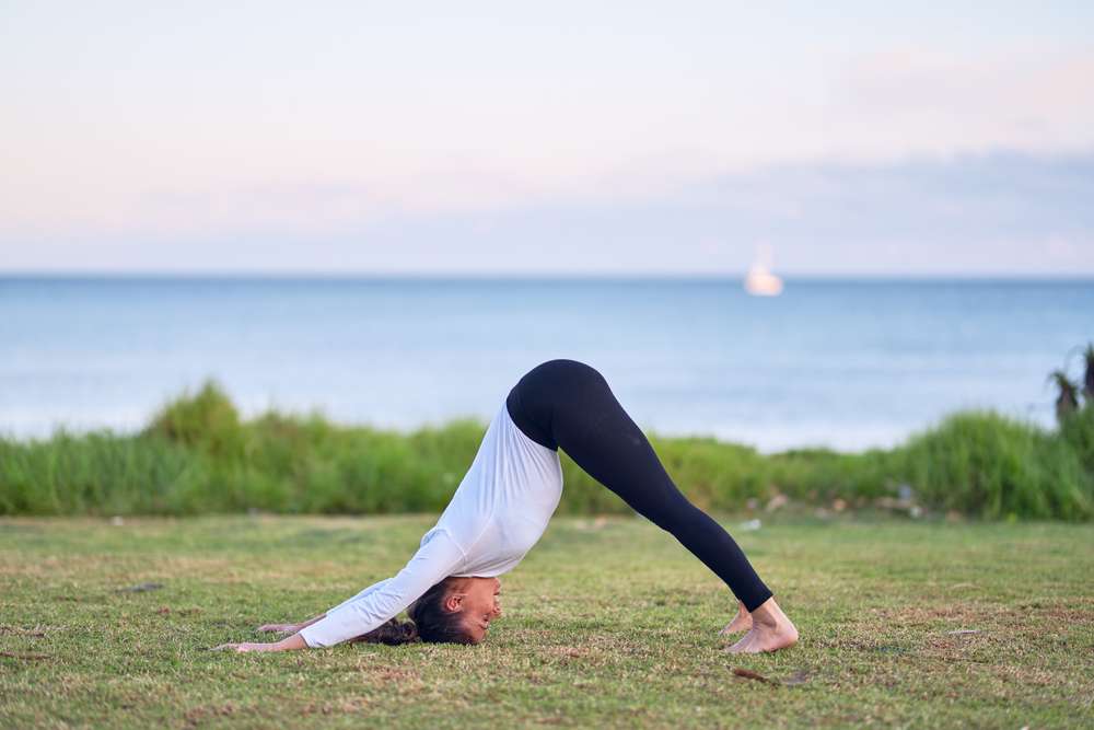 Dolphin Plank