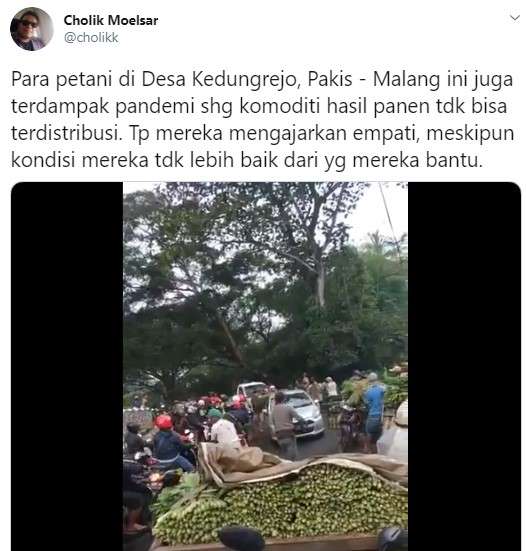 petani sayuran di malang