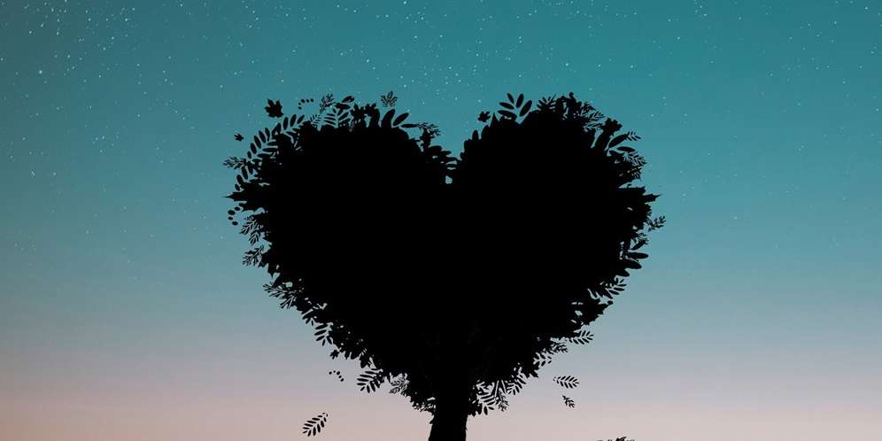 Cinta