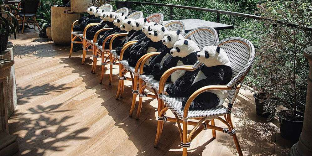 Panda Berjemur