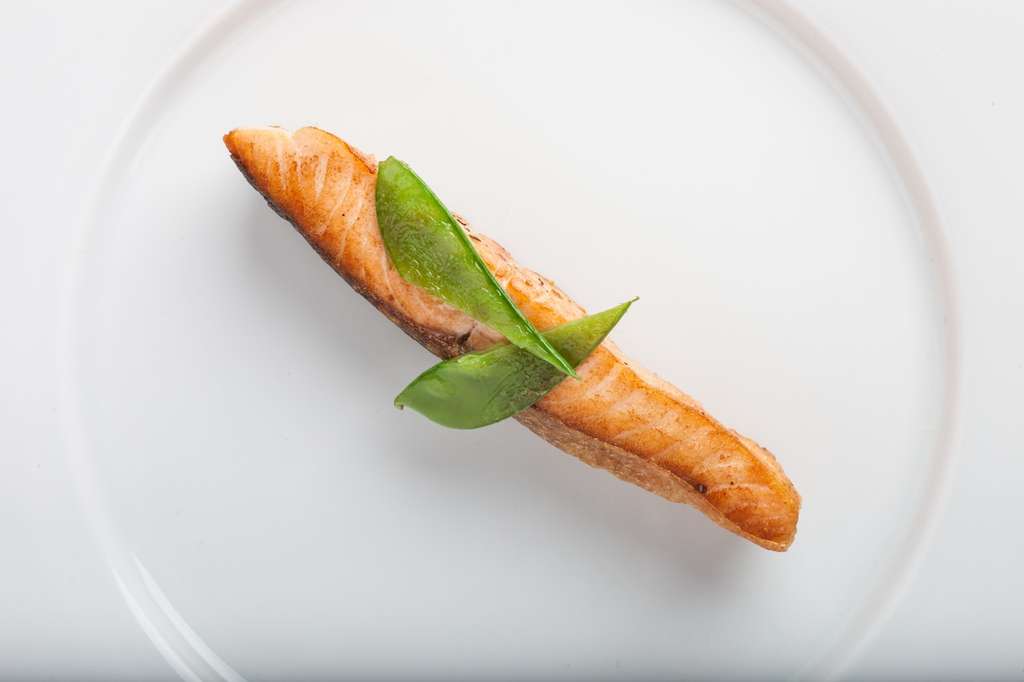 Salmon