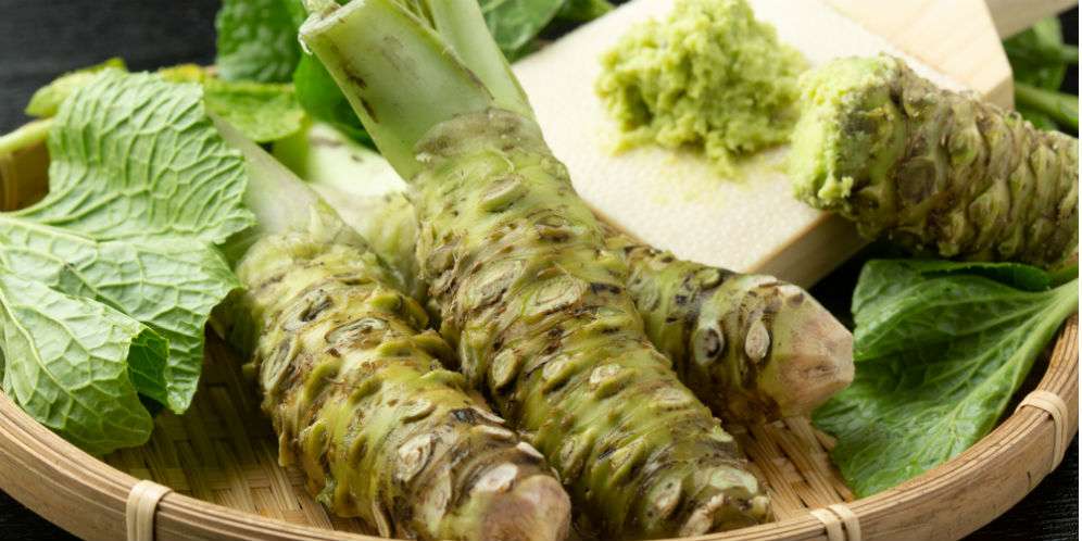 Akar wasabi