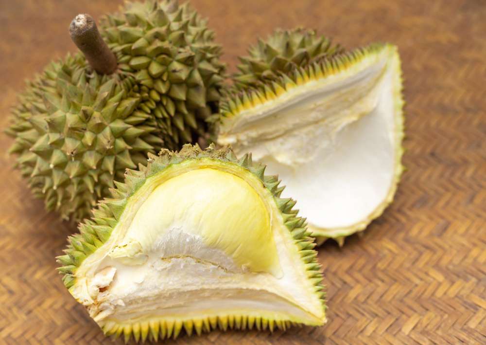 Duren