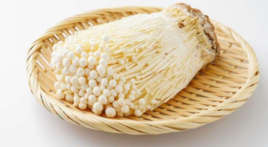 Enoki