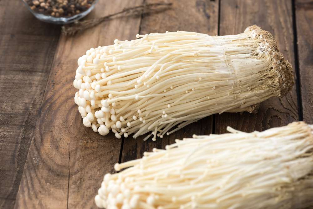 Enoki