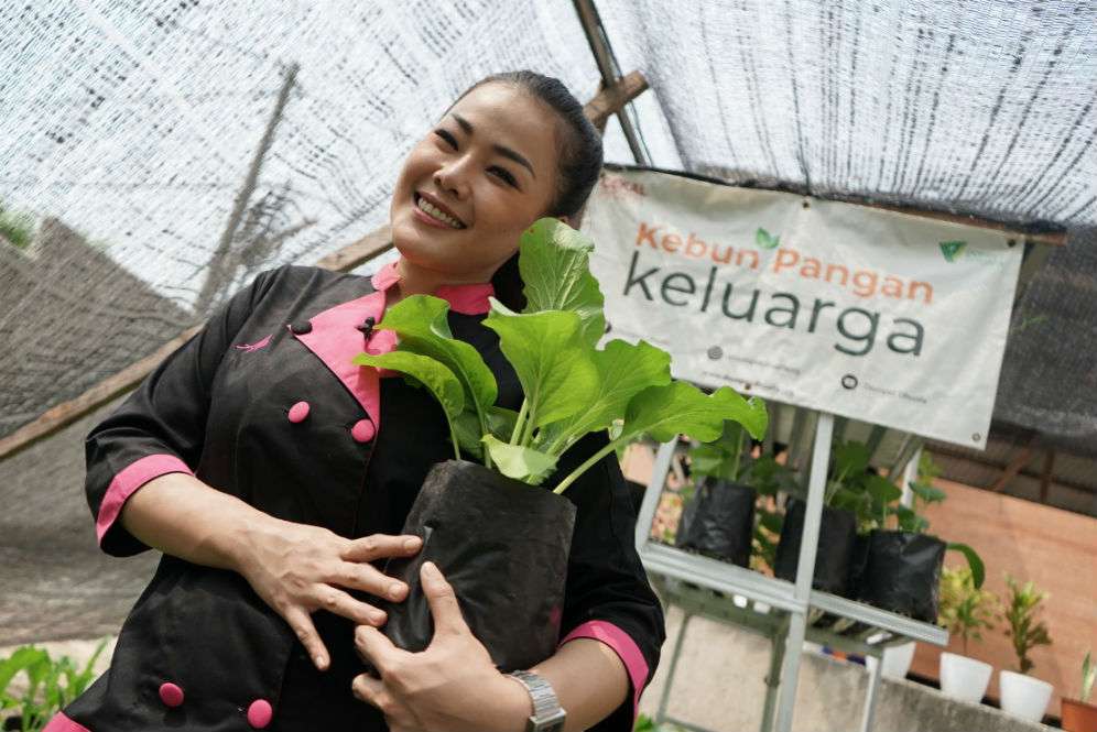 Kebun Pangan Keluarga