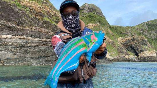 Ikan berwarna cerah seperti dicat ini hidup di lautan Atlantik, Pasifik, dan India.