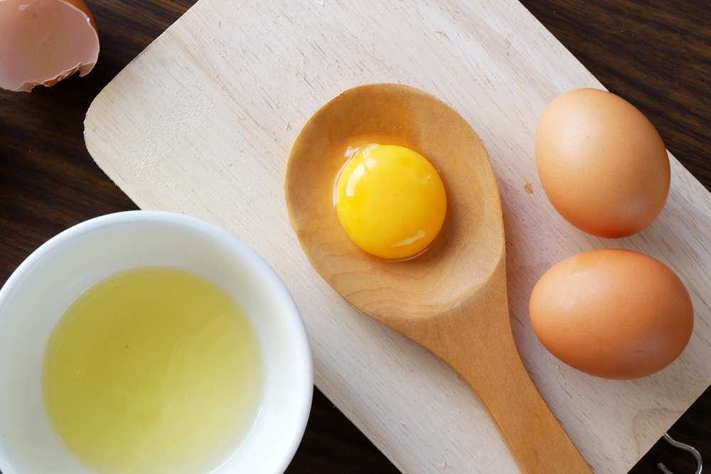 Telur