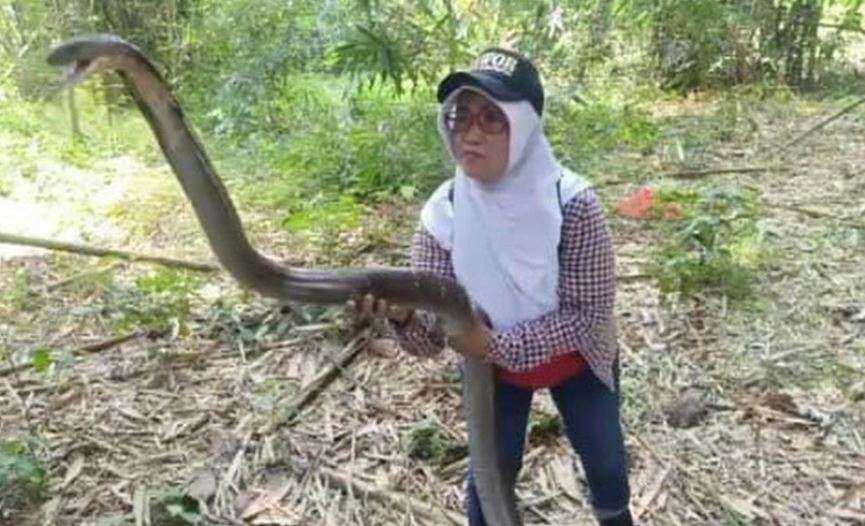 IIn Rahayu IIn Rahayu