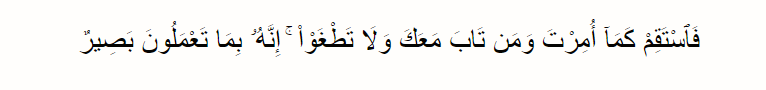 QS.Hud 112