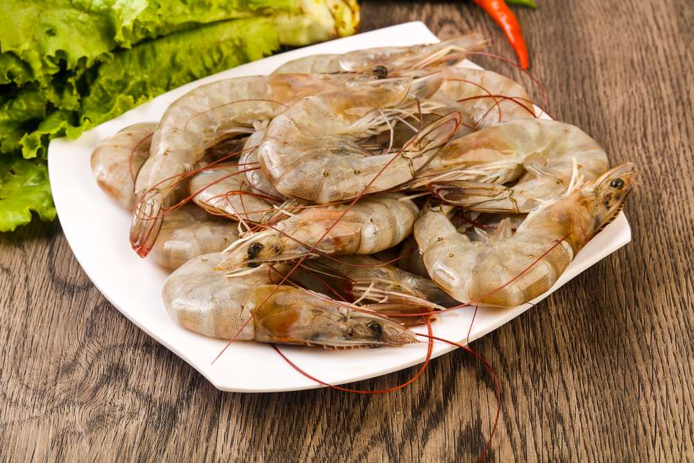 Udang