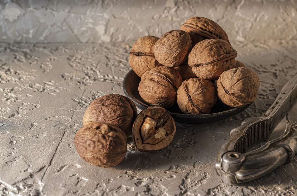 Walnut Shells