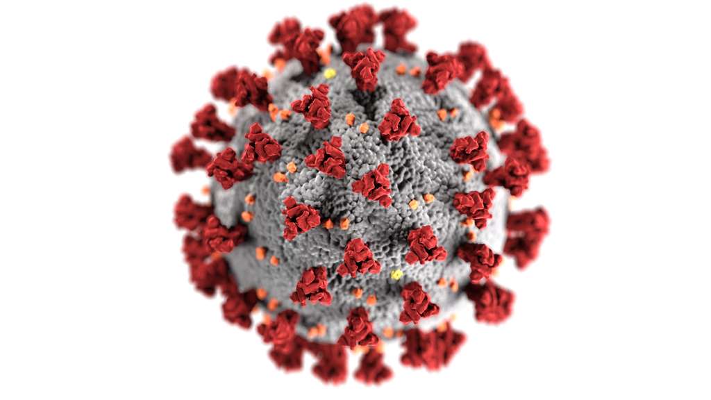 Virus Corona