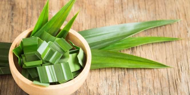 Daun Pandan