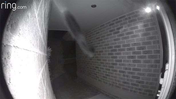 Video CCTV