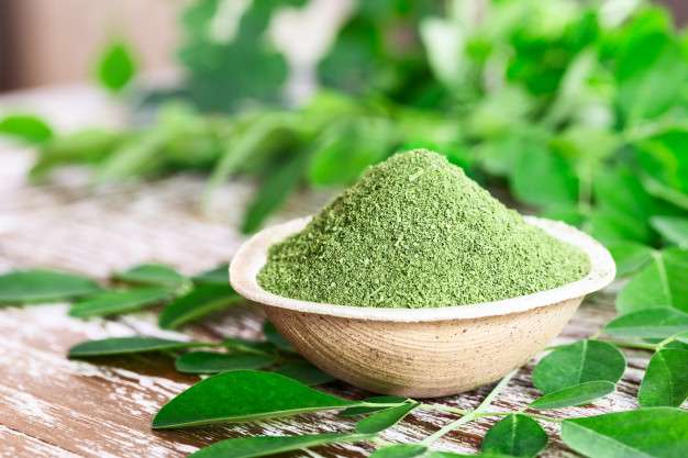 Manfaat Daun Kelor