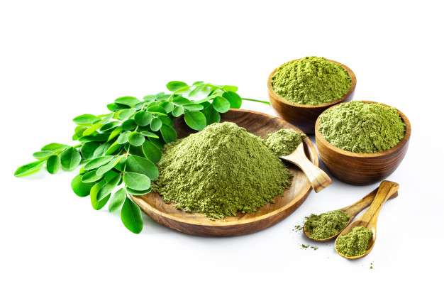 Manfaat Daun Kelor