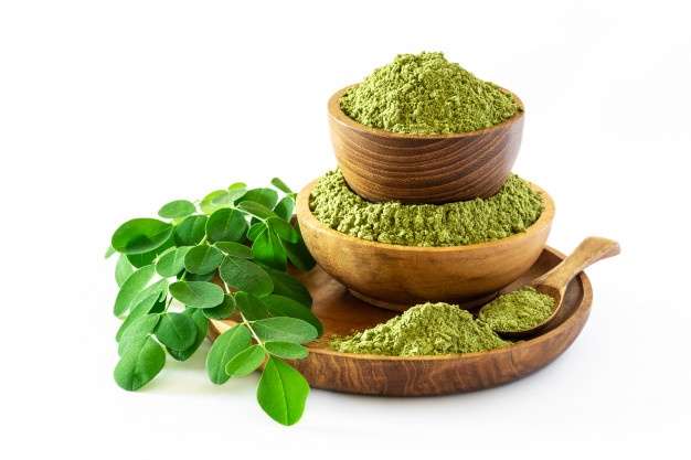 Manfaat Daun Kelor